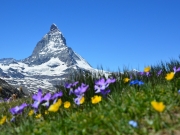 Matterhorn